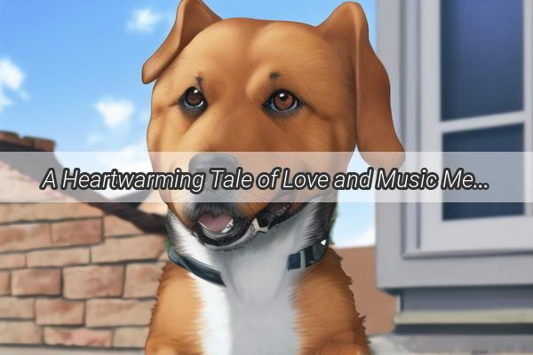 A Heartwarming Tale of Love and Music Meet the Golden Retriever in Buddy The Golden Retriever Story